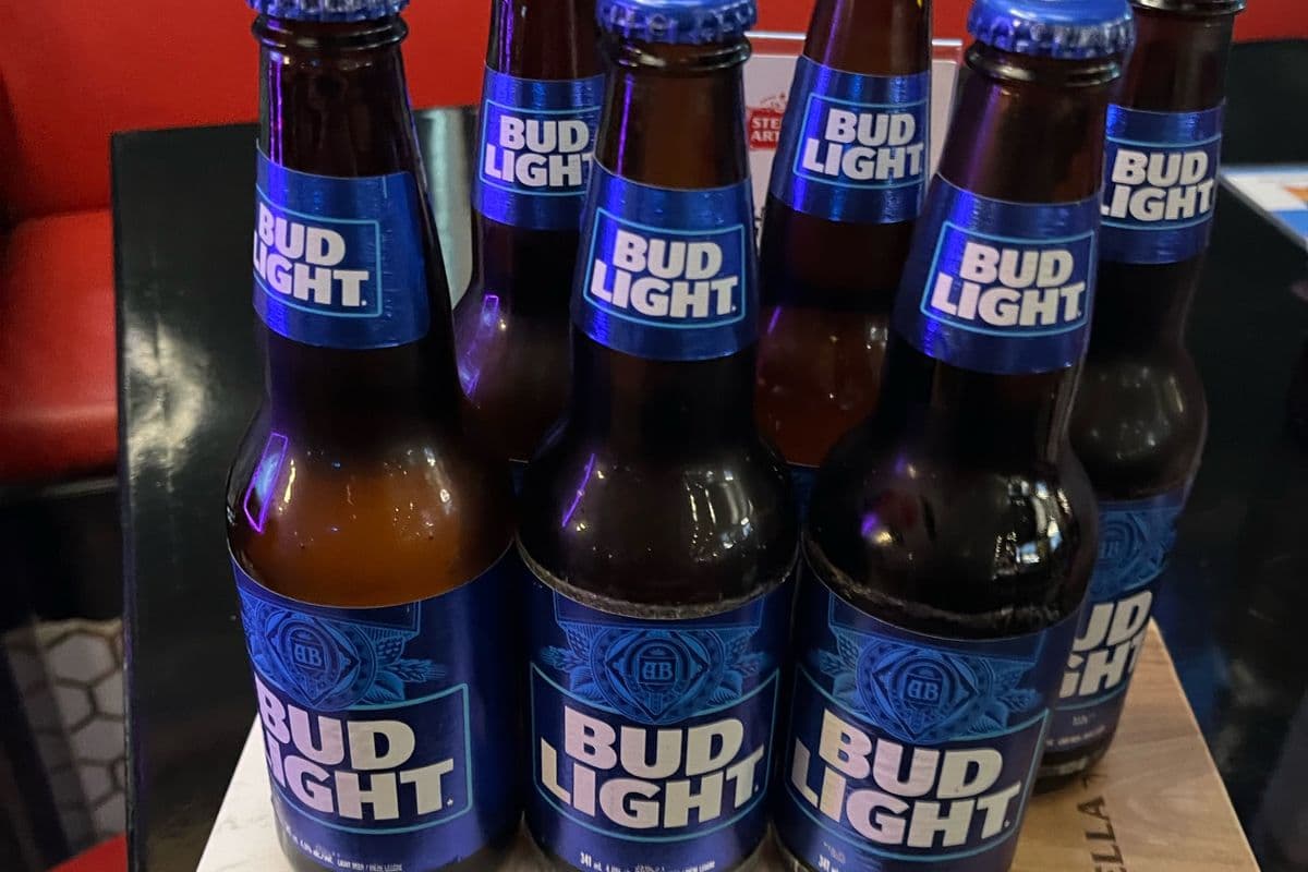 Bud Light (1 x 6 Pack)