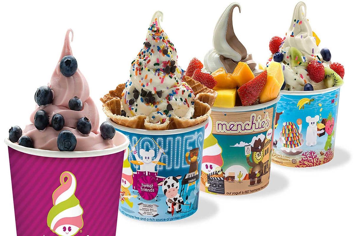 Frozen Yogurt (Medium 16 oz)