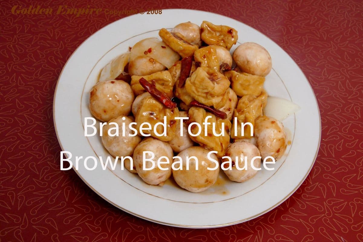 Braised Tofu in Brown Bean Sauce