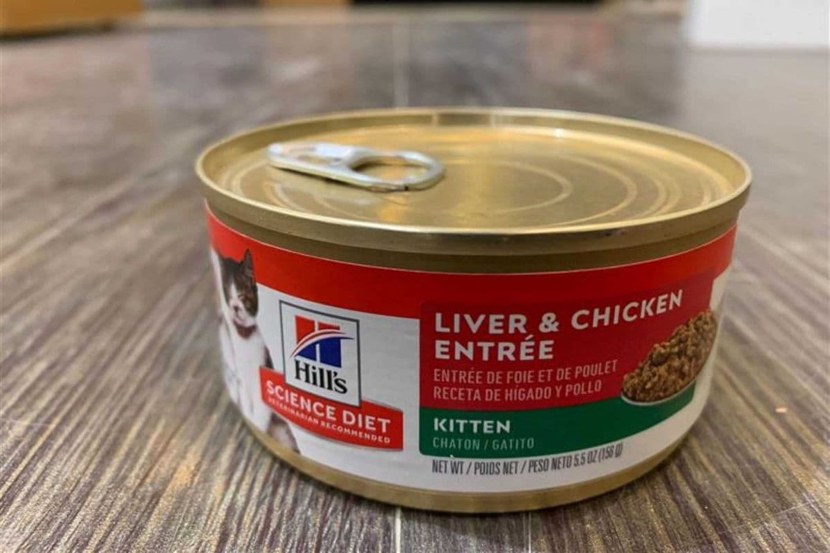Hills | Feline | Wet | Kitten | Chicken & Liver | 5.5oz