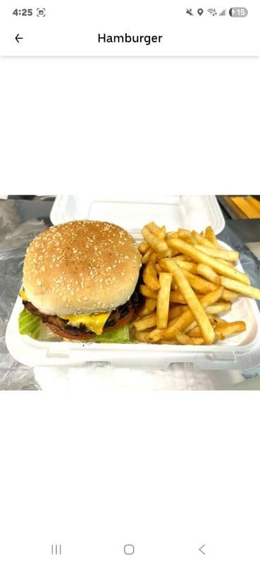 Hamburger