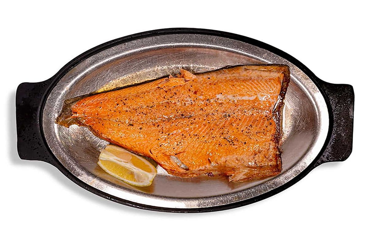 Rainbow Trout