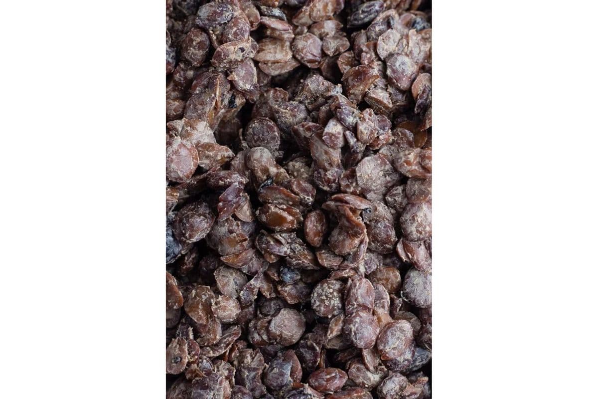 Iru (Iocus Beans) (Fresh)