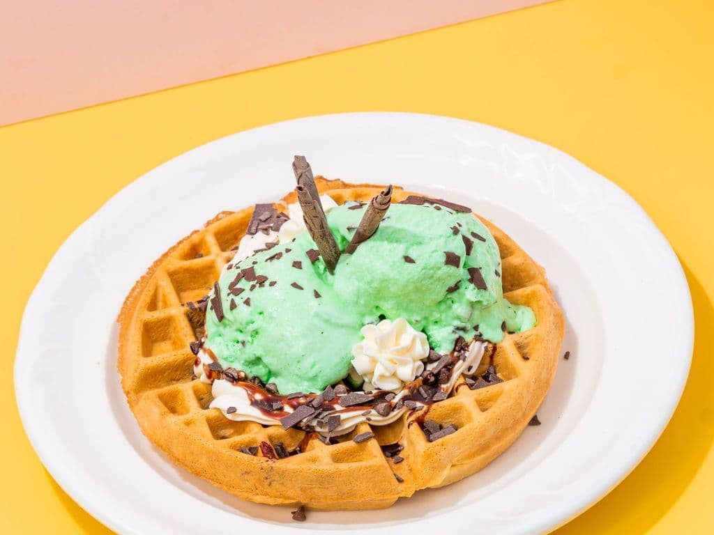 MINT CHOCOLATE CHIP