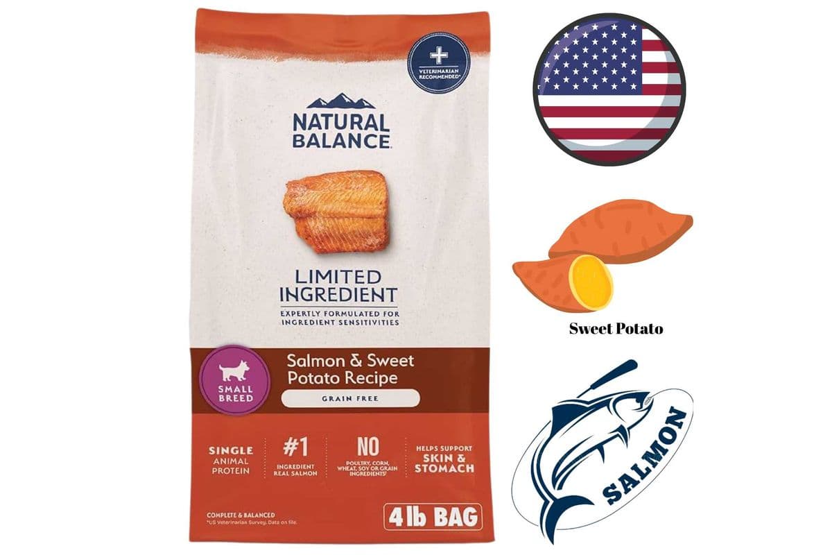 Natural Balance - Limited Ingredient Diet Grain Free Salmon & Sweet Potato Small Breed Dry Dog Food - 4 lb