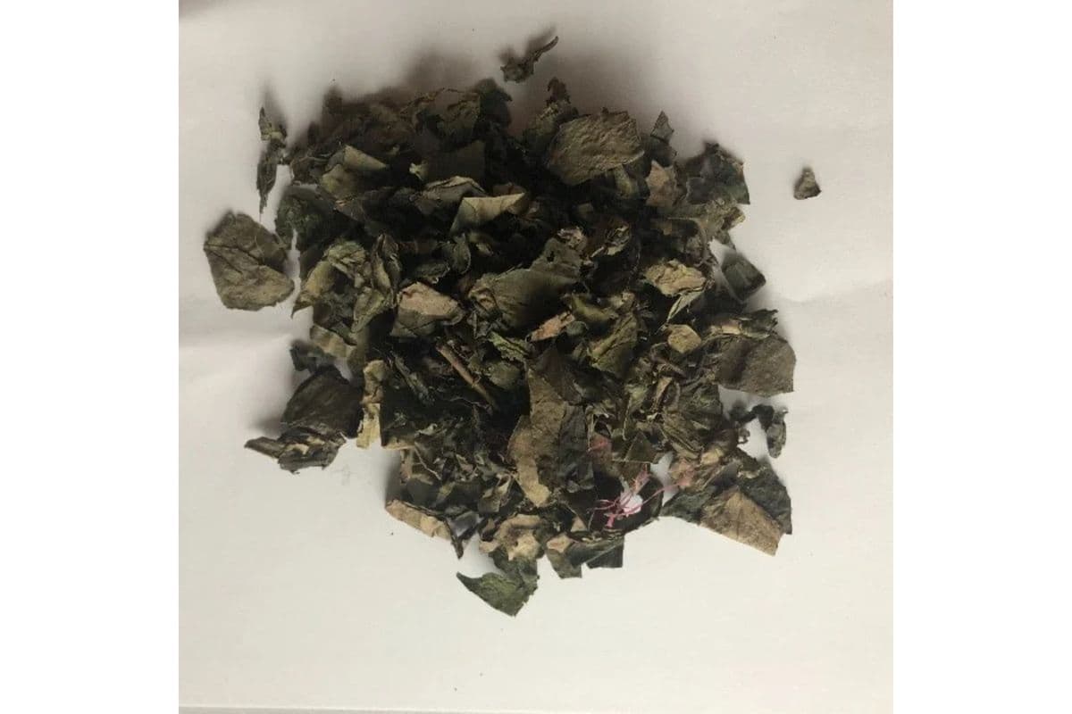 Dried Utazi Leaves