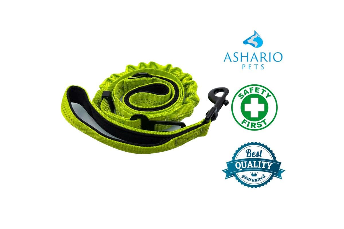 Ashario Pets - "SafeRide Pro" Retractable Car Traction Belt - Green