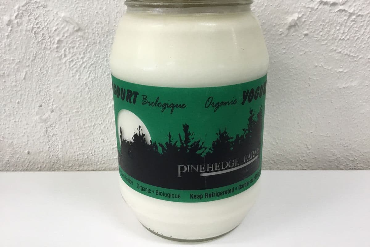 Pinehedge Yogurt Organic (1 Kg)
