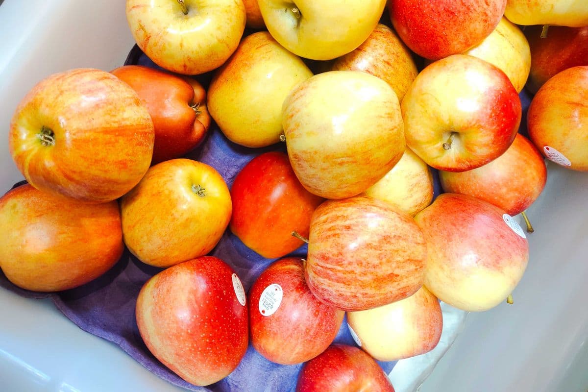 Ambrosia Apple @1.69/lb-Out-of-stock (1lb)