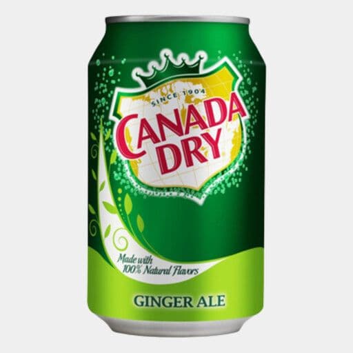 Ginger Ale - 355 ml