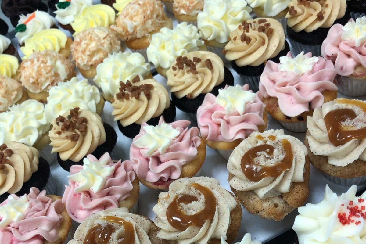 6 Assorted Regular Size Cupcakes