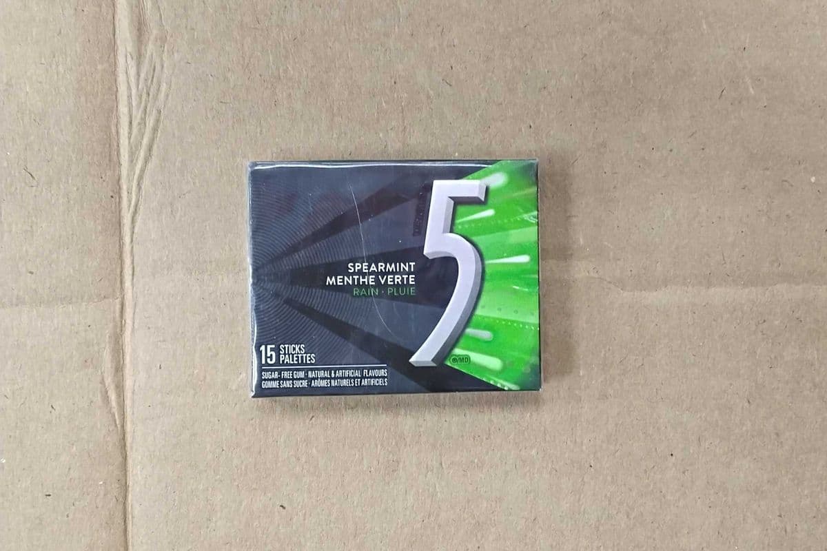5 GUM, Spearmint-Rain Flavoured Sugar Free Chewing Gum, 15 Sticks, 1 Pack