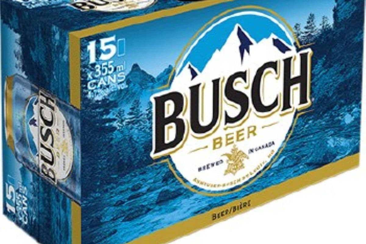 Busch (15 x 355 ml Can)