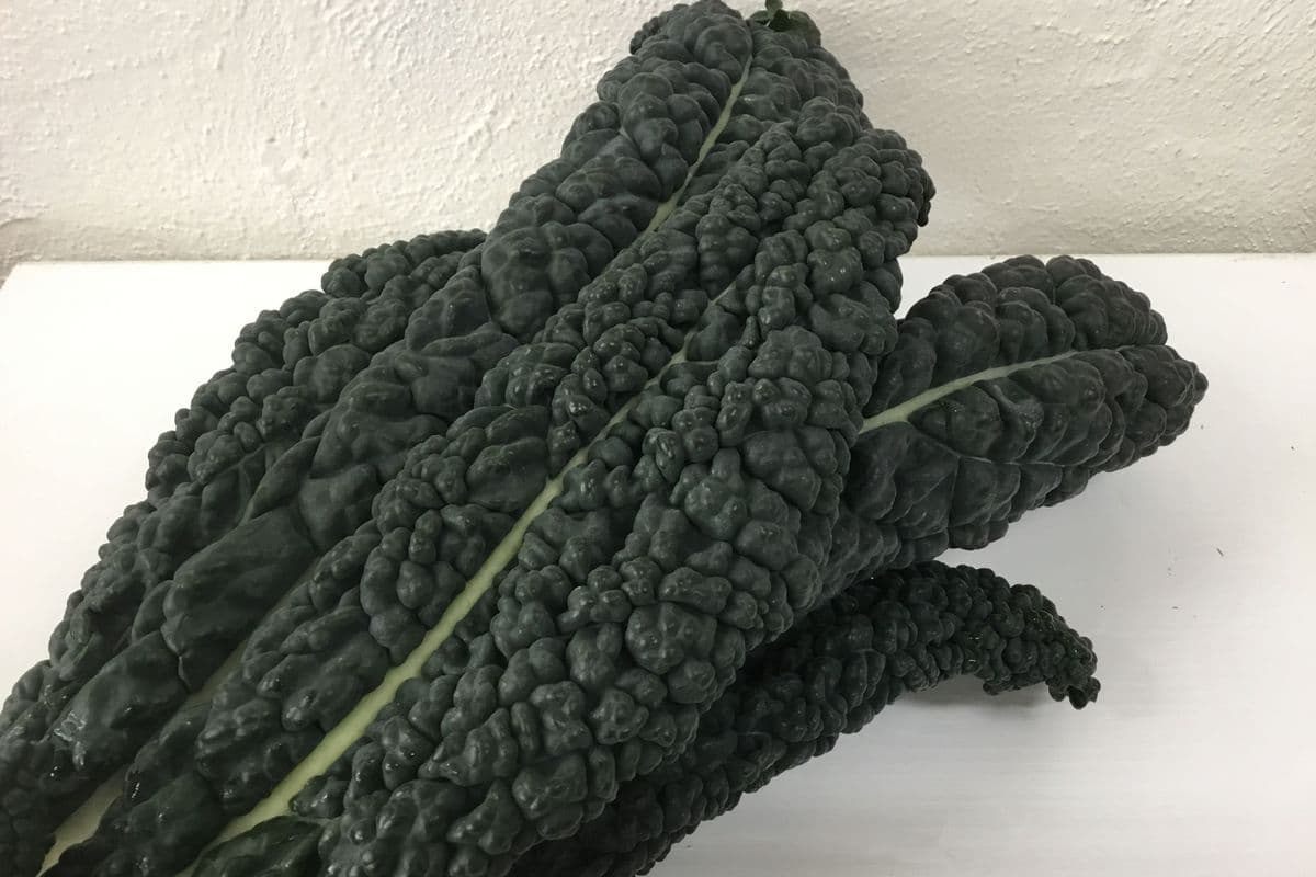 Kale, Black/Dino (Organic) (Each)