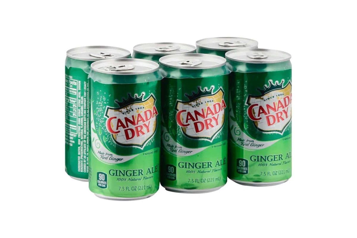 Ginger Ale 6 Cans (6x355 ml)