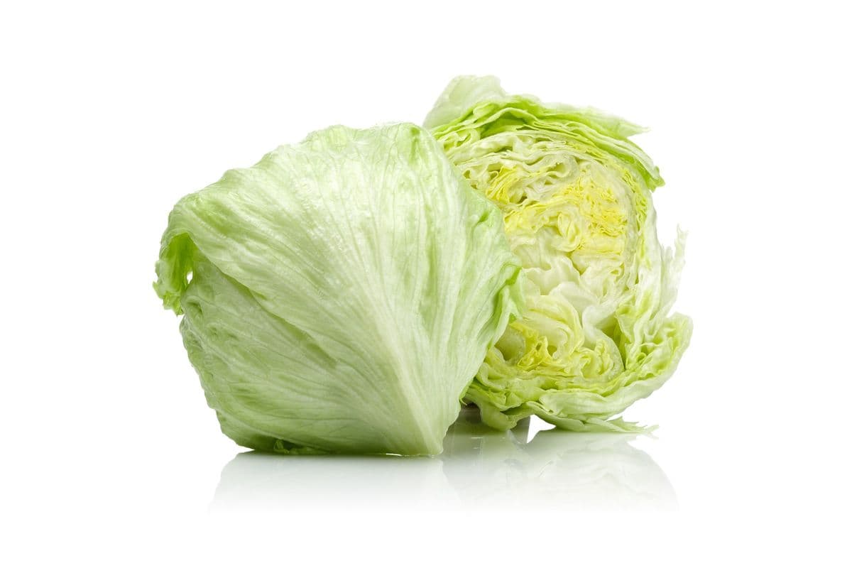Lettuce