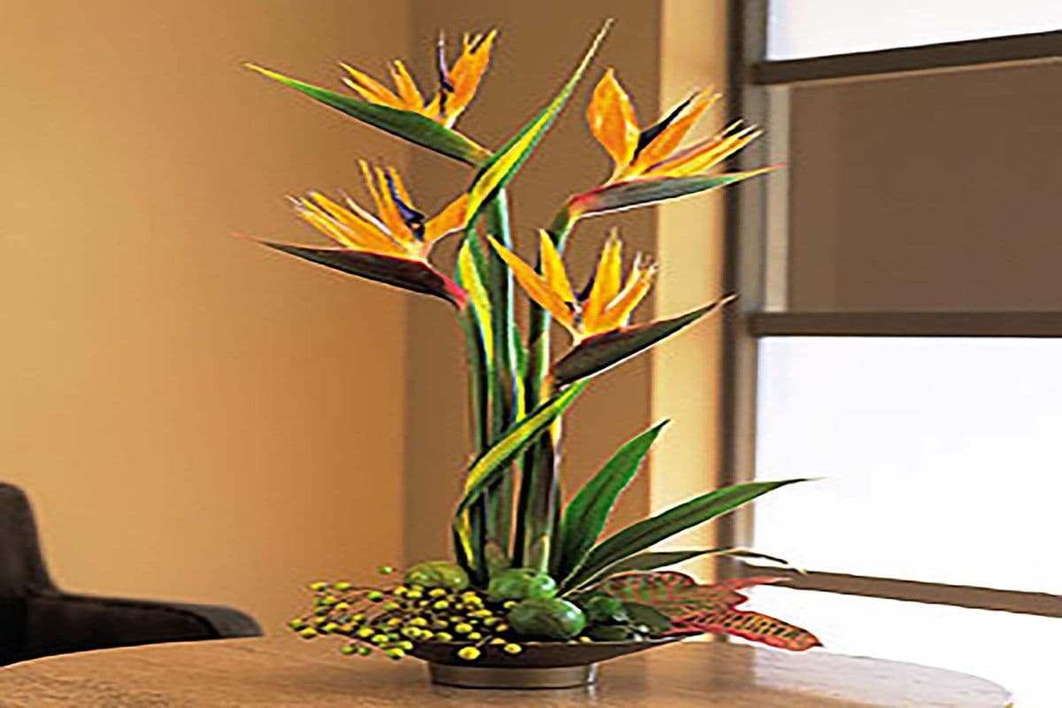 Groupon Fall Large Cubed Vase