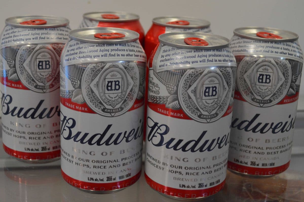 Budweiser (6 x 355 ml Can)
