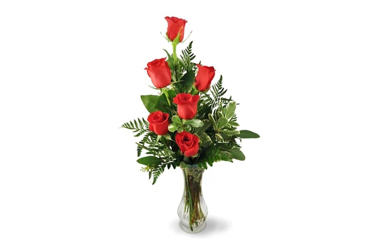 Six Red Roses