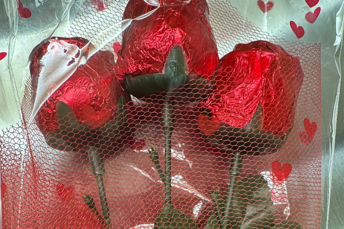Chocolaty Rose