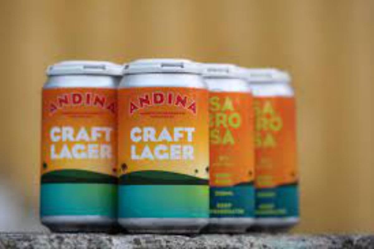 ANDINA CRAFT LAGER 6PK (6PK)