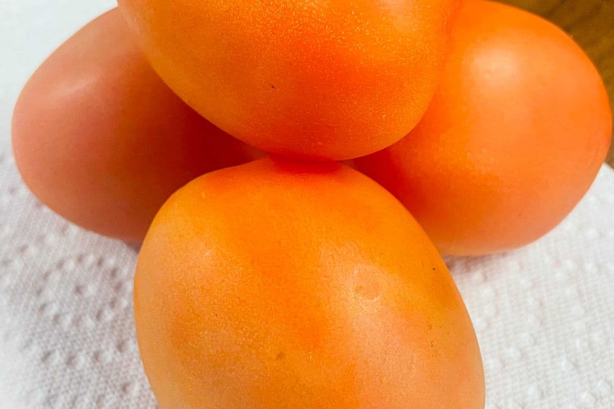 Tomato (4 pcs)