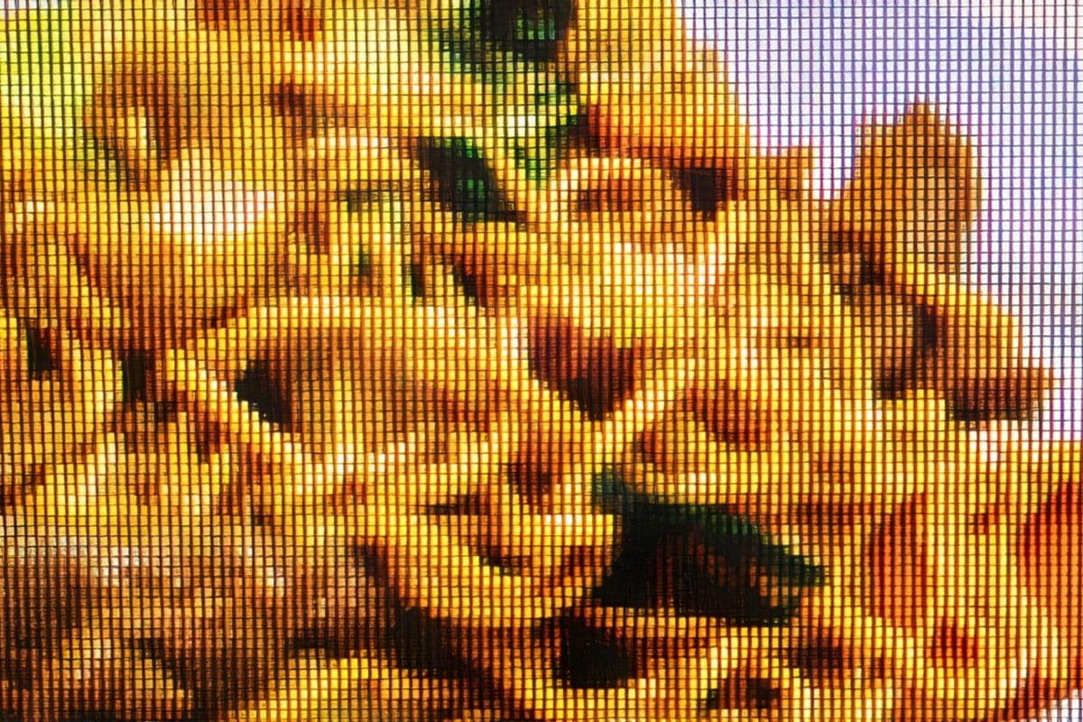 Chow Mein