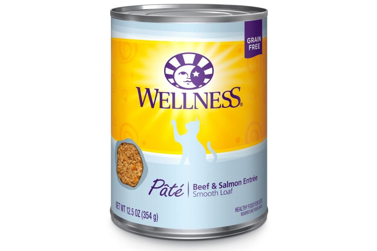 Wellness Complete Health Pate Beef & Salmon Formula Grain-Free Wet Cat Food Cans (12.5 oz)