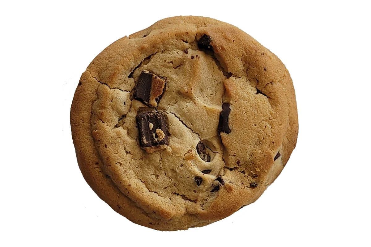 Premium chocolate cookies