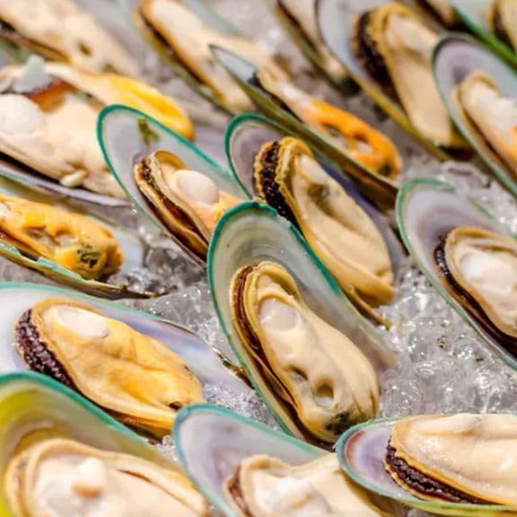 Hot Pot - Seafood - Green Mussels
