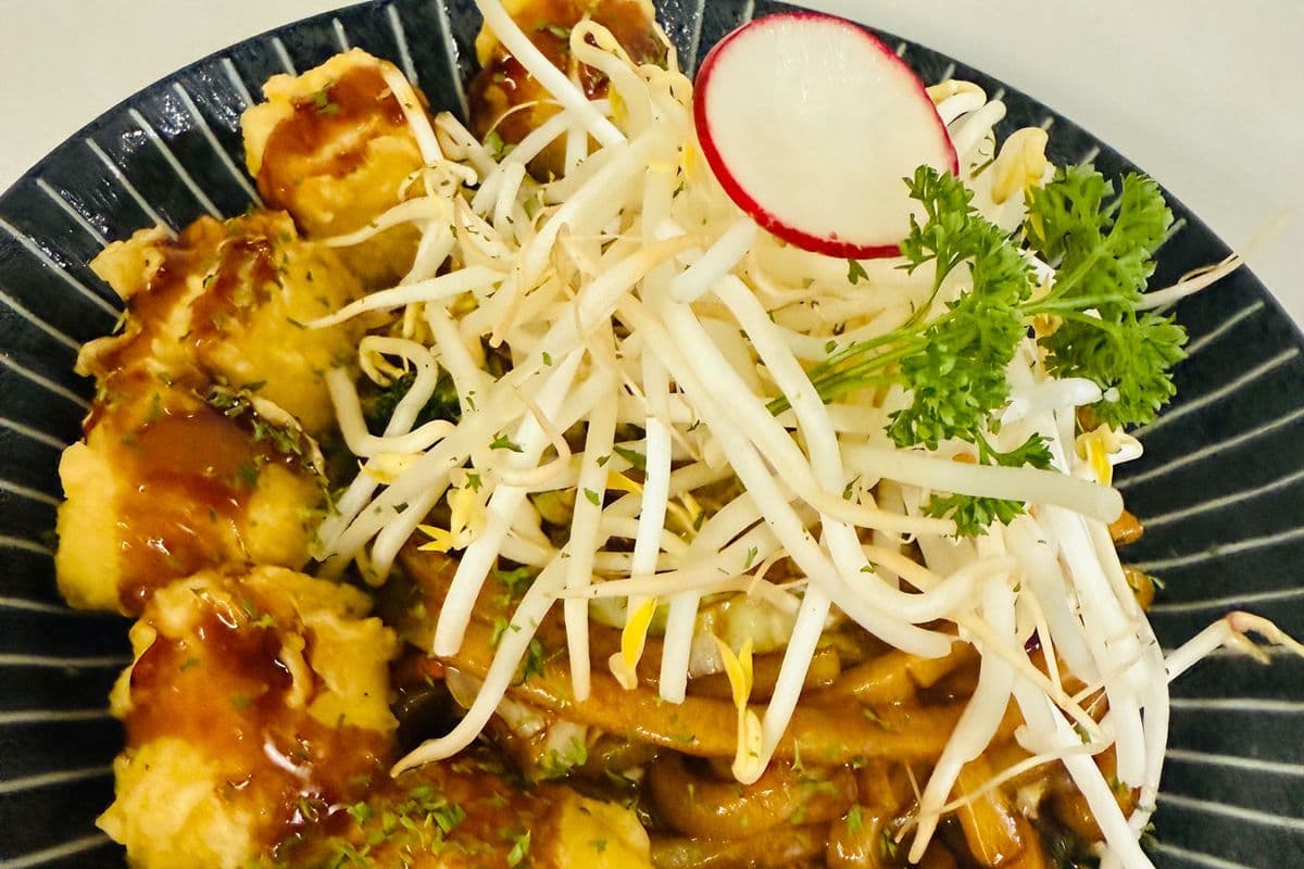 🍃Tofu Yaki Udon