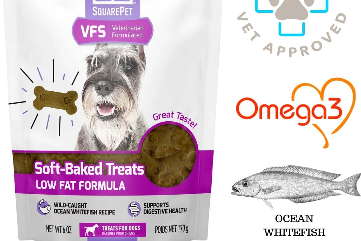 SquarePet - Low Fat Formula Soft Baked Dog Treats - 170 Grams
