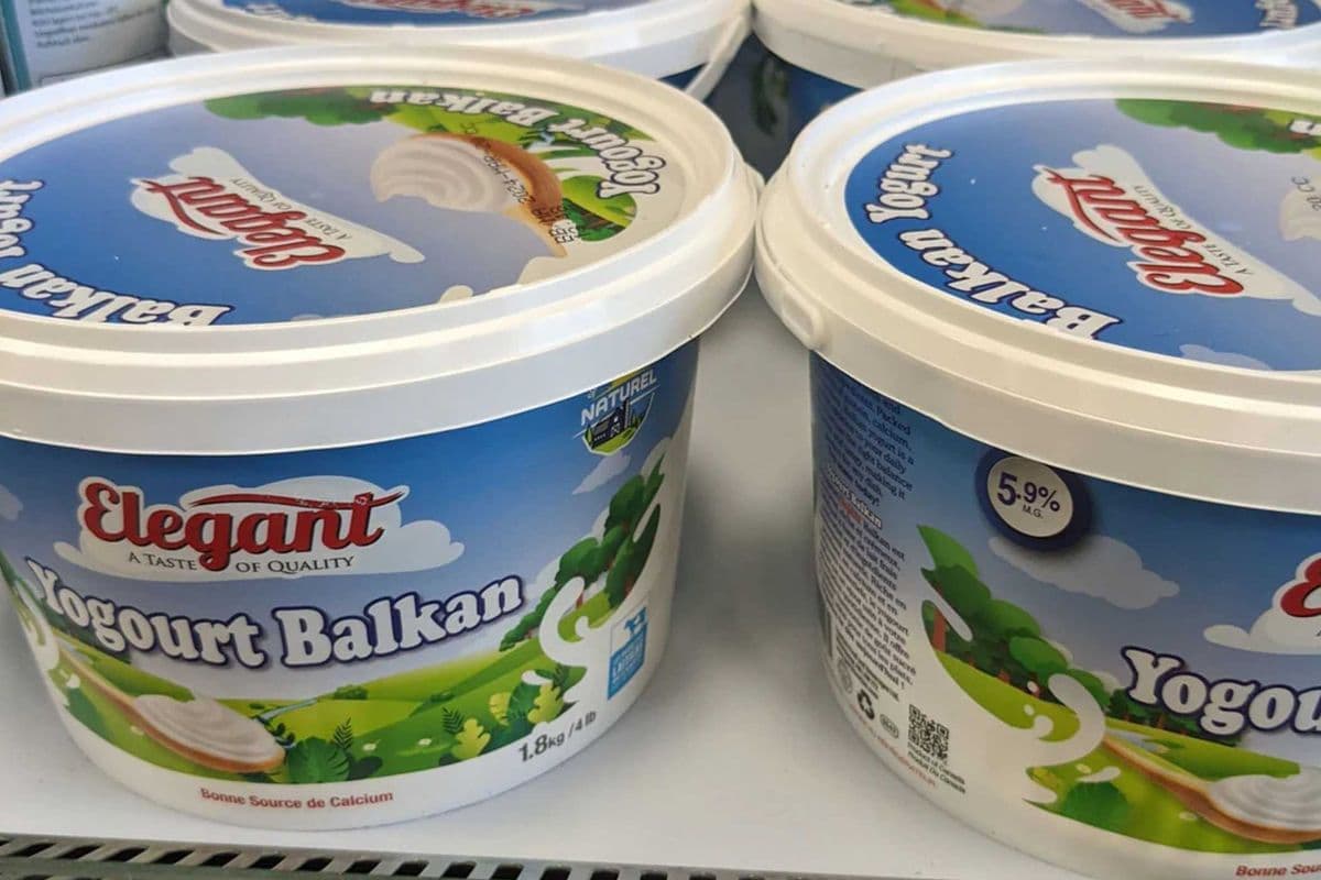 Elegant Yogurt 1.8kg