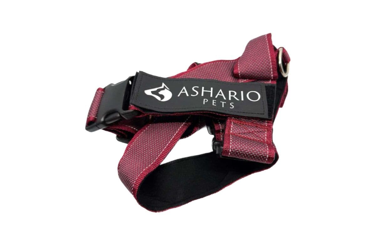 Ashario Pets "BreezyVest" Summer Lightweight Reflective Harness - Wine Red - L (L)