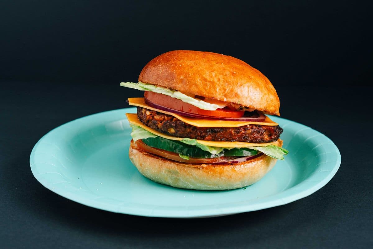 Vegetable Burger
