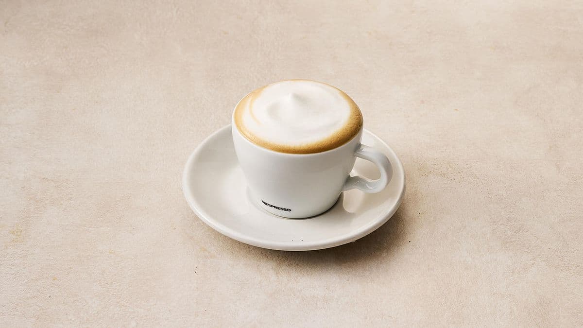 Cappuccino / Cappuccino