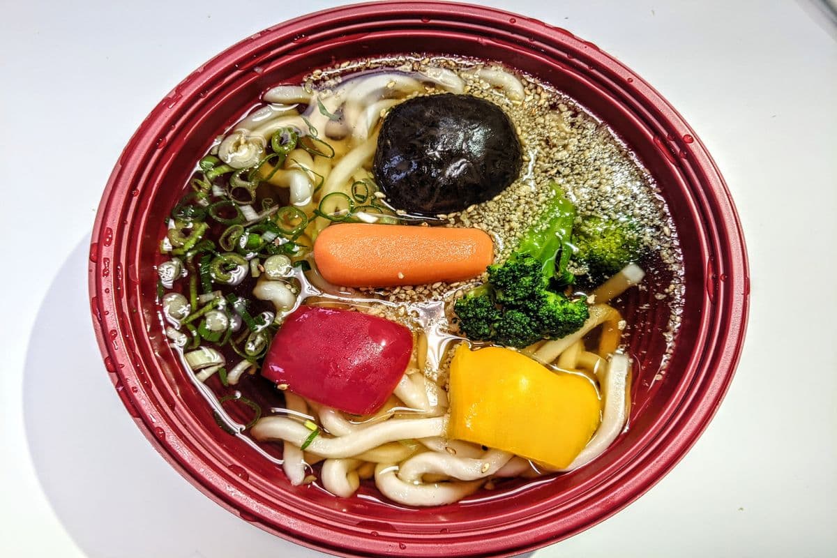 Vegetable Udon