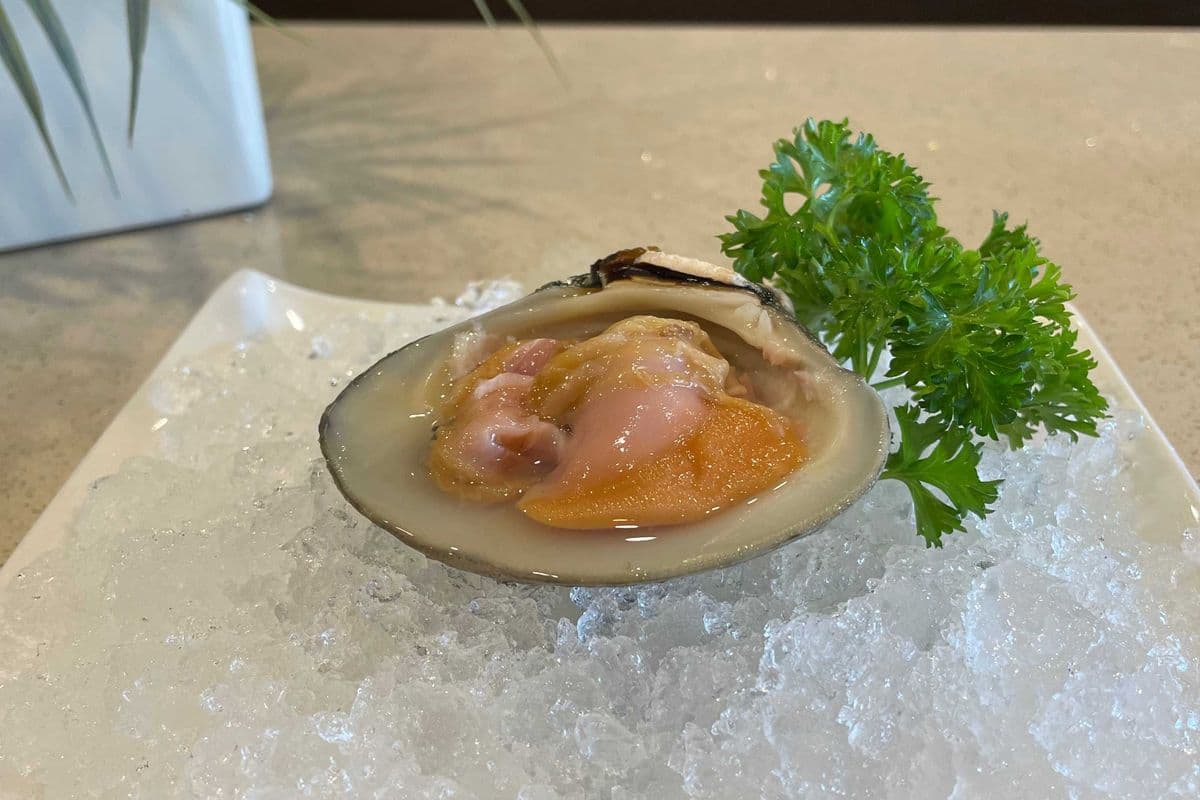 Raw Clam