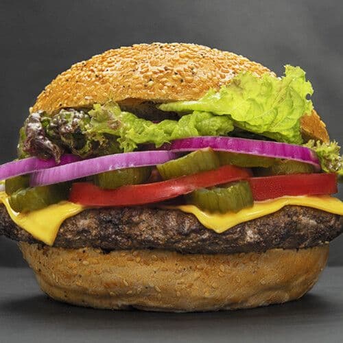 Gourmet Cheese Burger