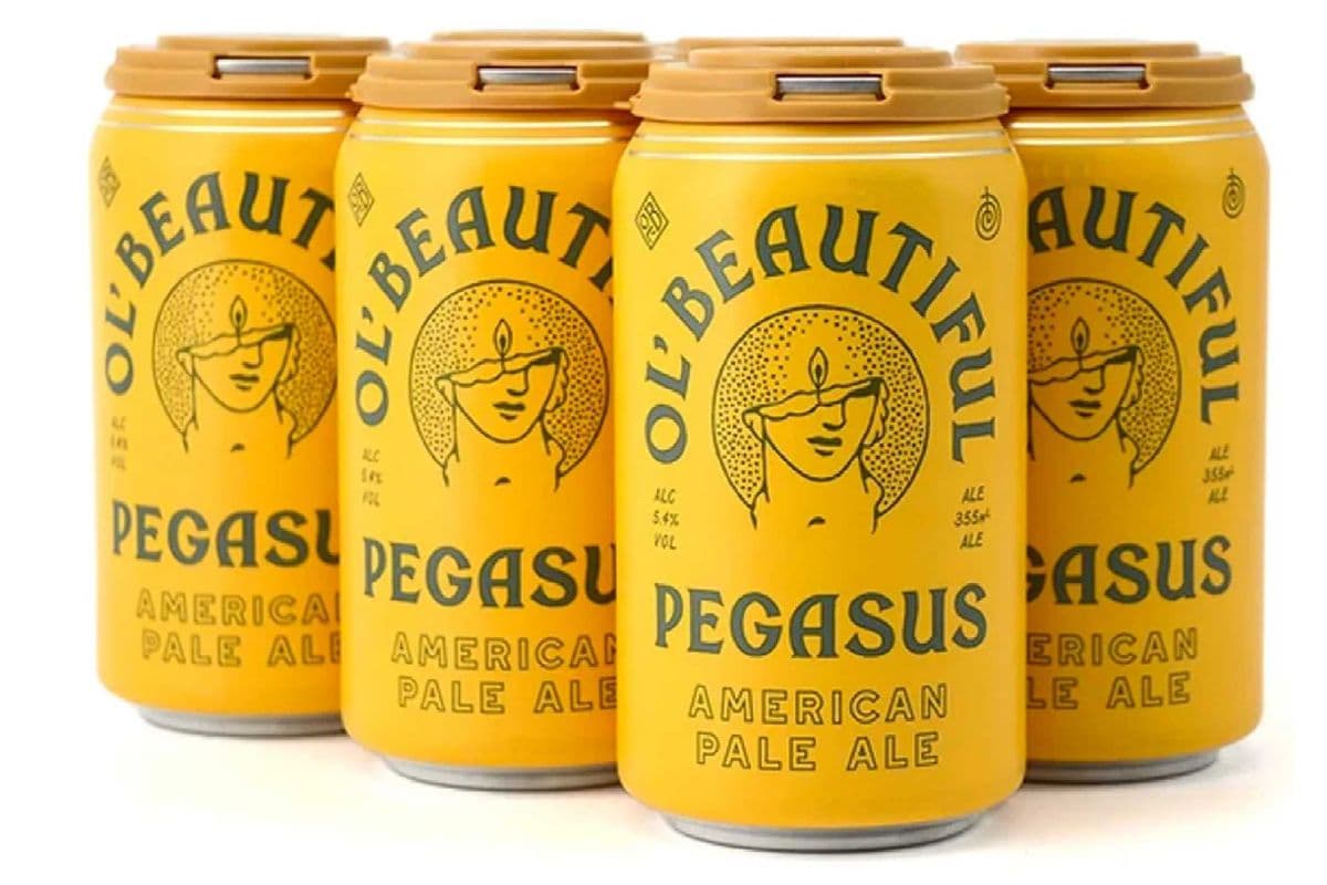 Pegasus - Pale Ale (6 x 355 ml Cans)