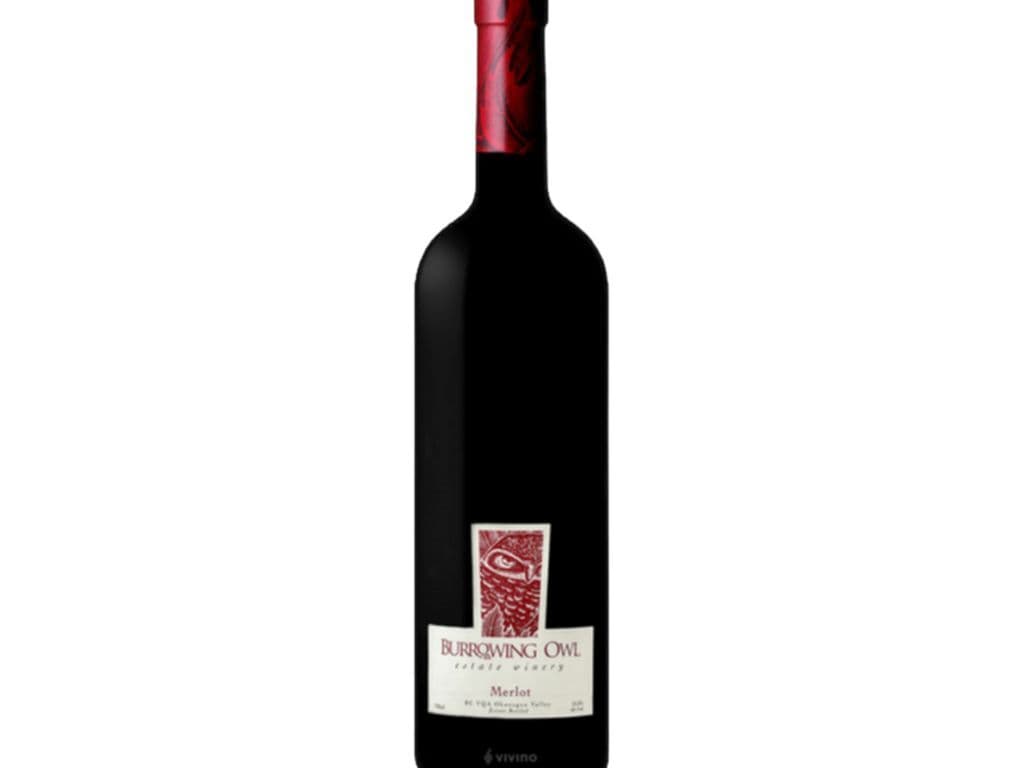 Burrowing Owl - Merlot 2021 1.5L