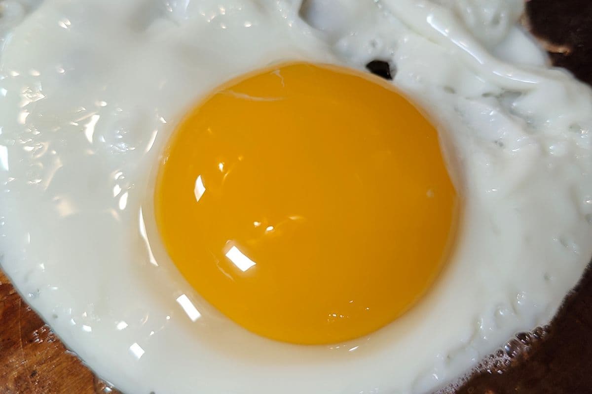 Extra Egg