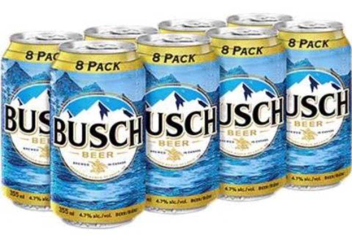 Busch (8 x 355 ml Cans)