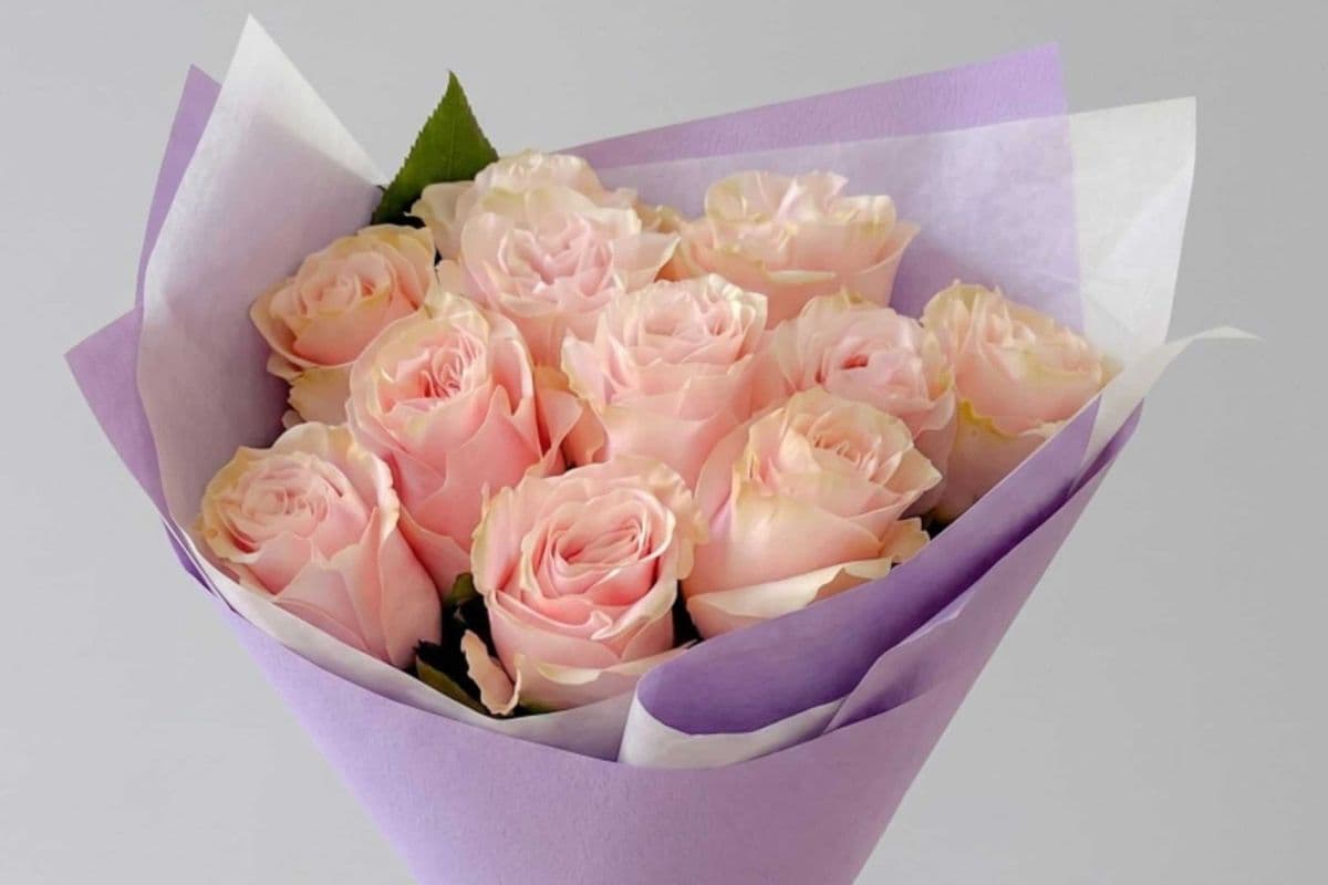 Premium Dozen Roses Special - Blush
