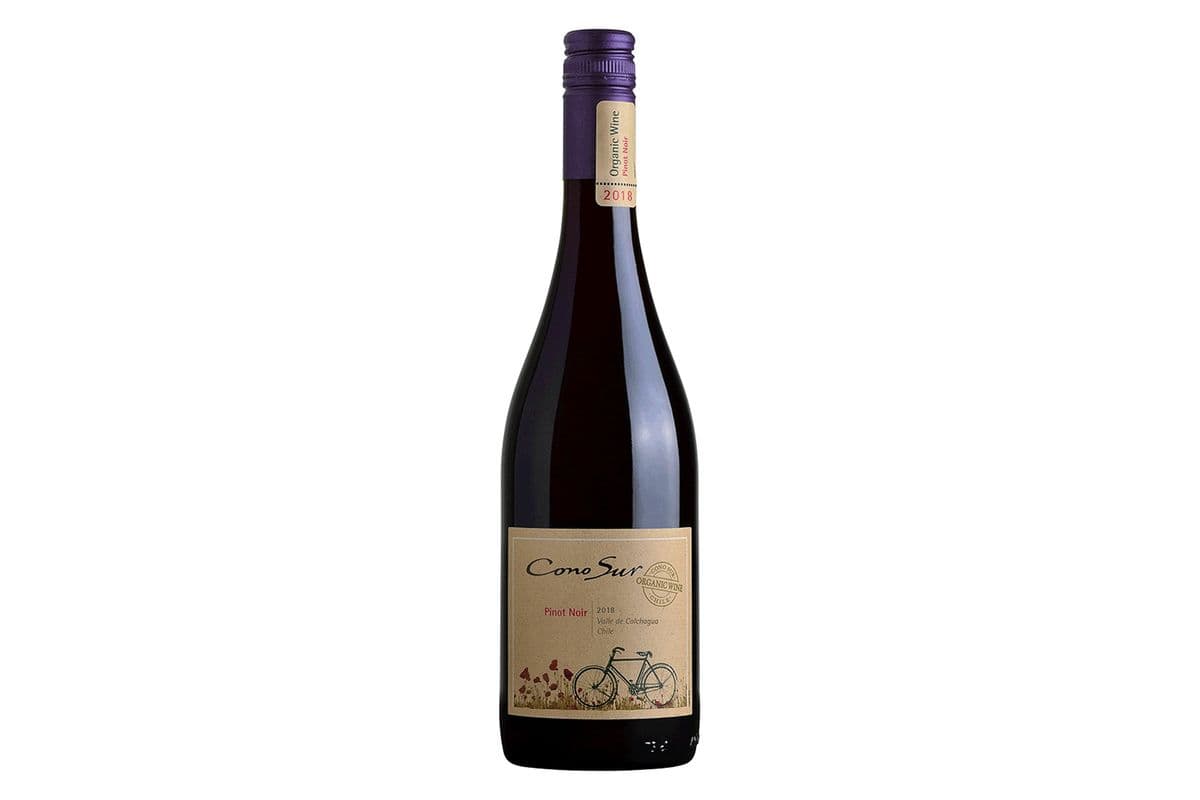 Cono Sur Organic Pinot Noir (1 x 750 ml)