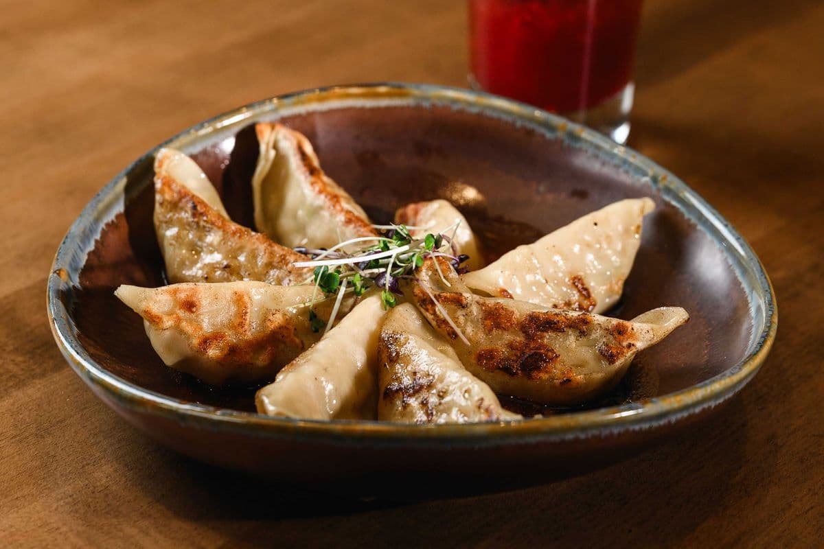 Chicken Dumplings