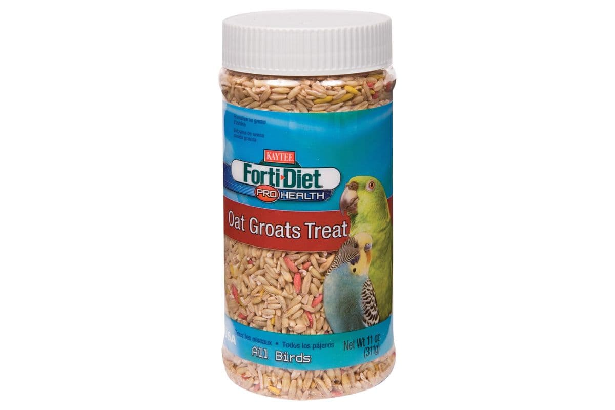 Forti-Diet Pro Health Oat Groats Treat for All Birds (11 oz)