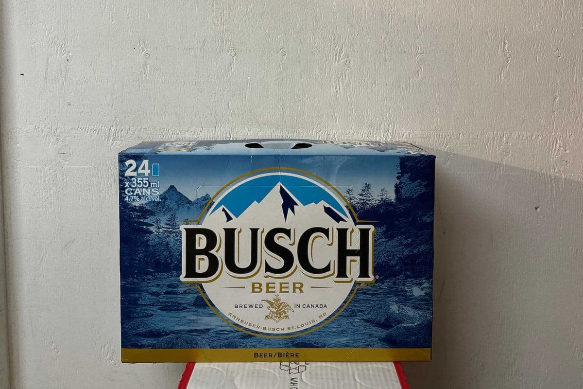 Busch Beer (24 Pack) (1 x 24 PK)