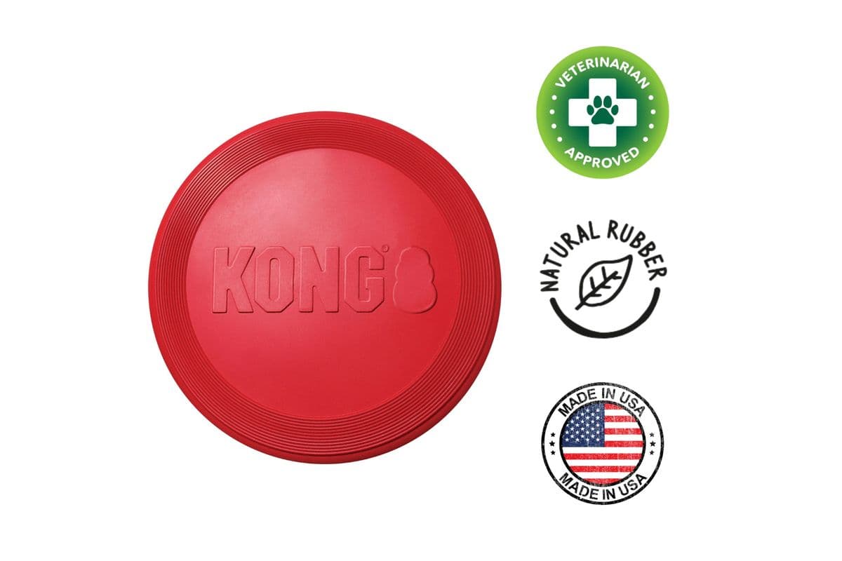 KONG Flyer Dog Toy Large