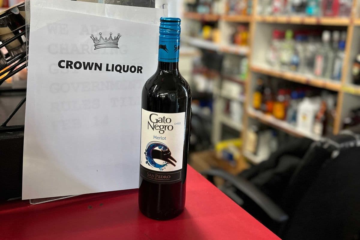 Gato Negro Merlot (1 x 750 ml)